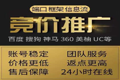 案例分析：SEM推广助力行业竞争突围